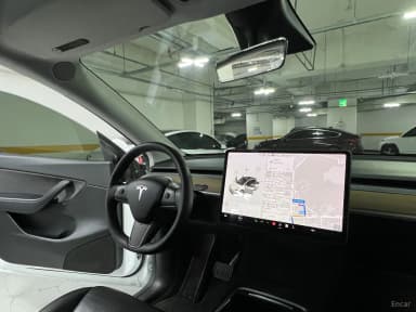 Model Y