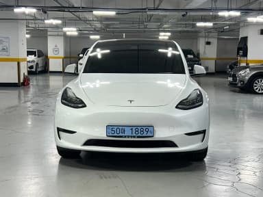 Model Y