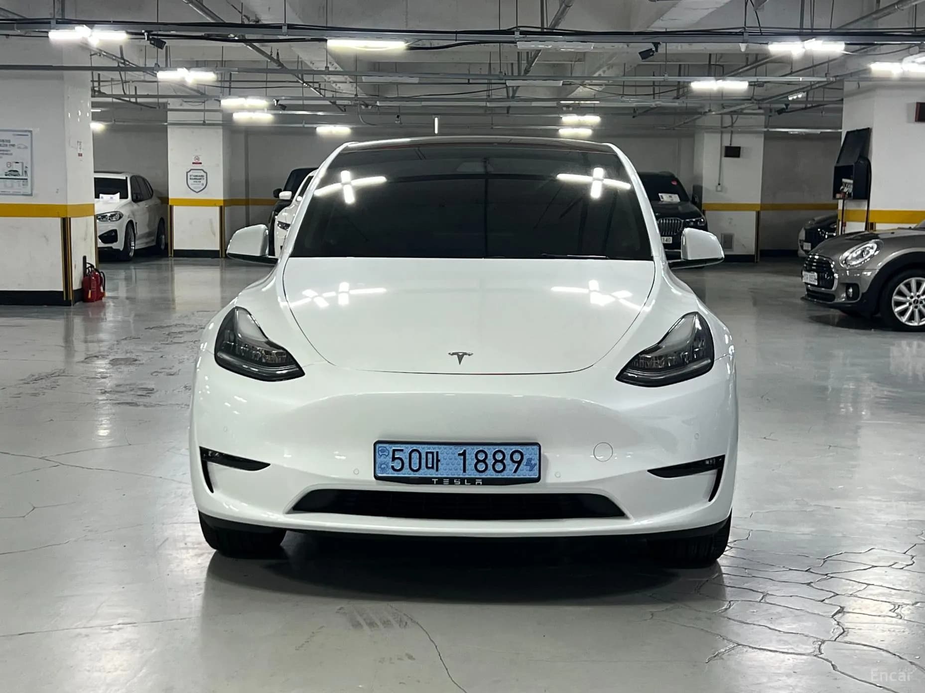 Model Y