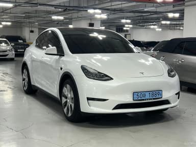 Model Y