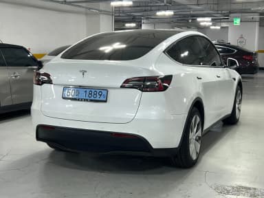 Model Y