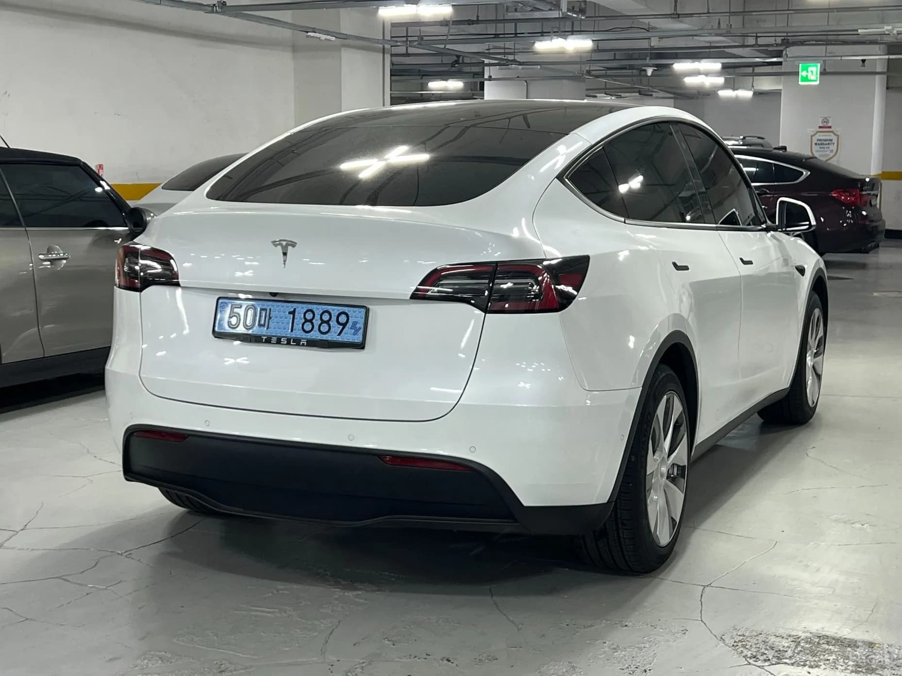 Model Y