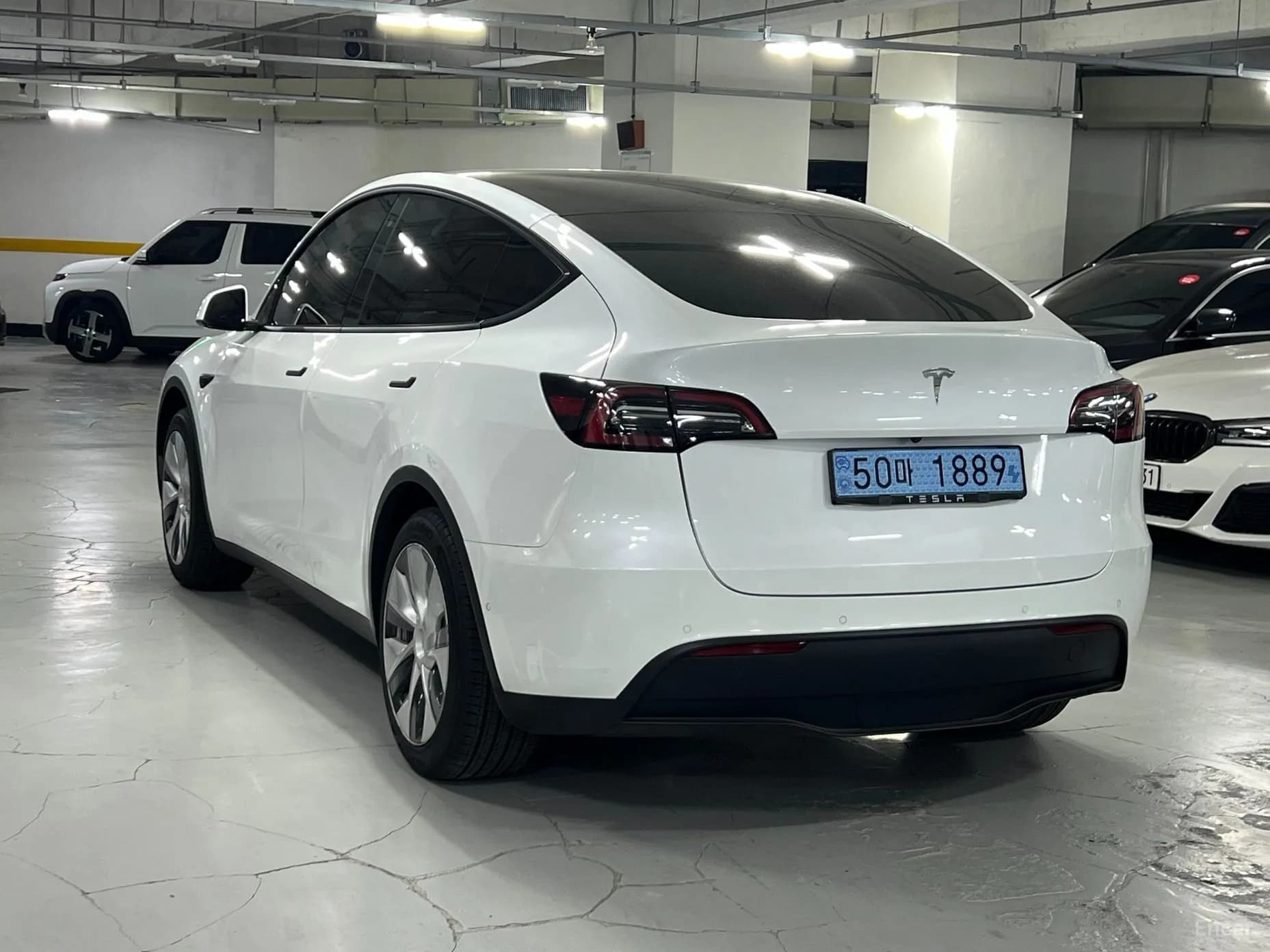 Model Y