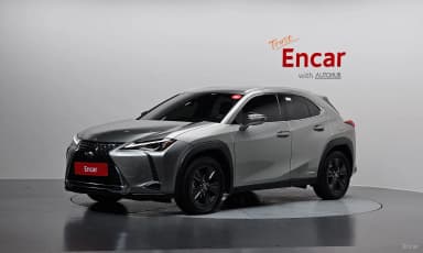 UX250h