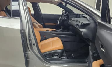 UX250h