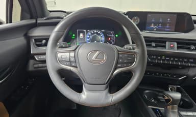 UX250h