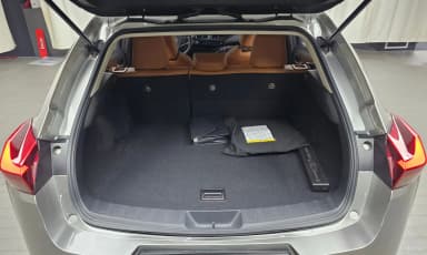 UX250h