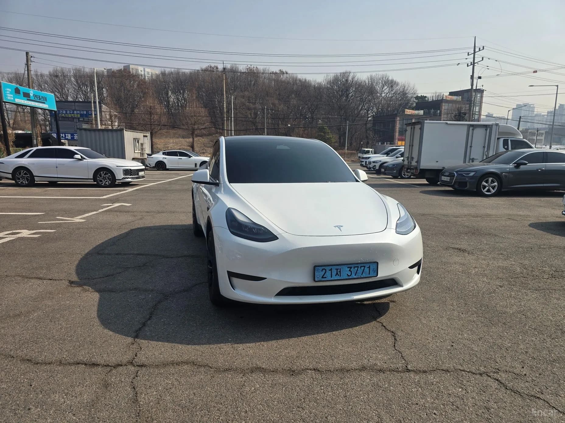 Model Y