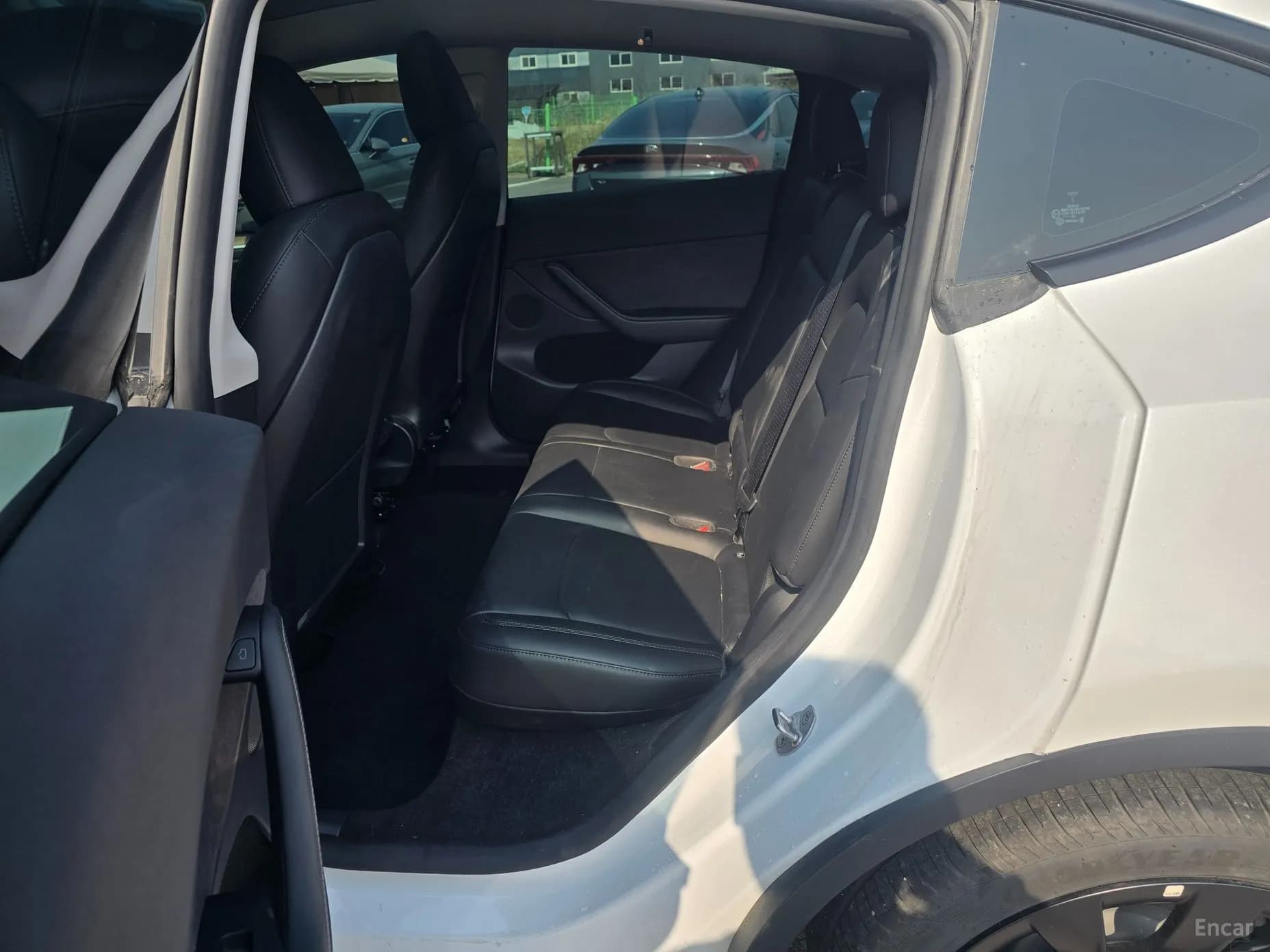 Model Y
