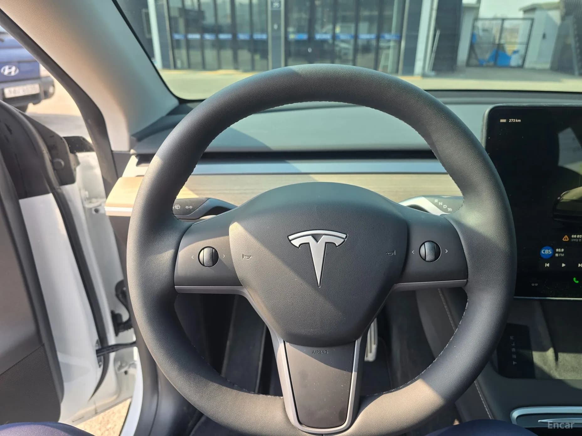 Model Y