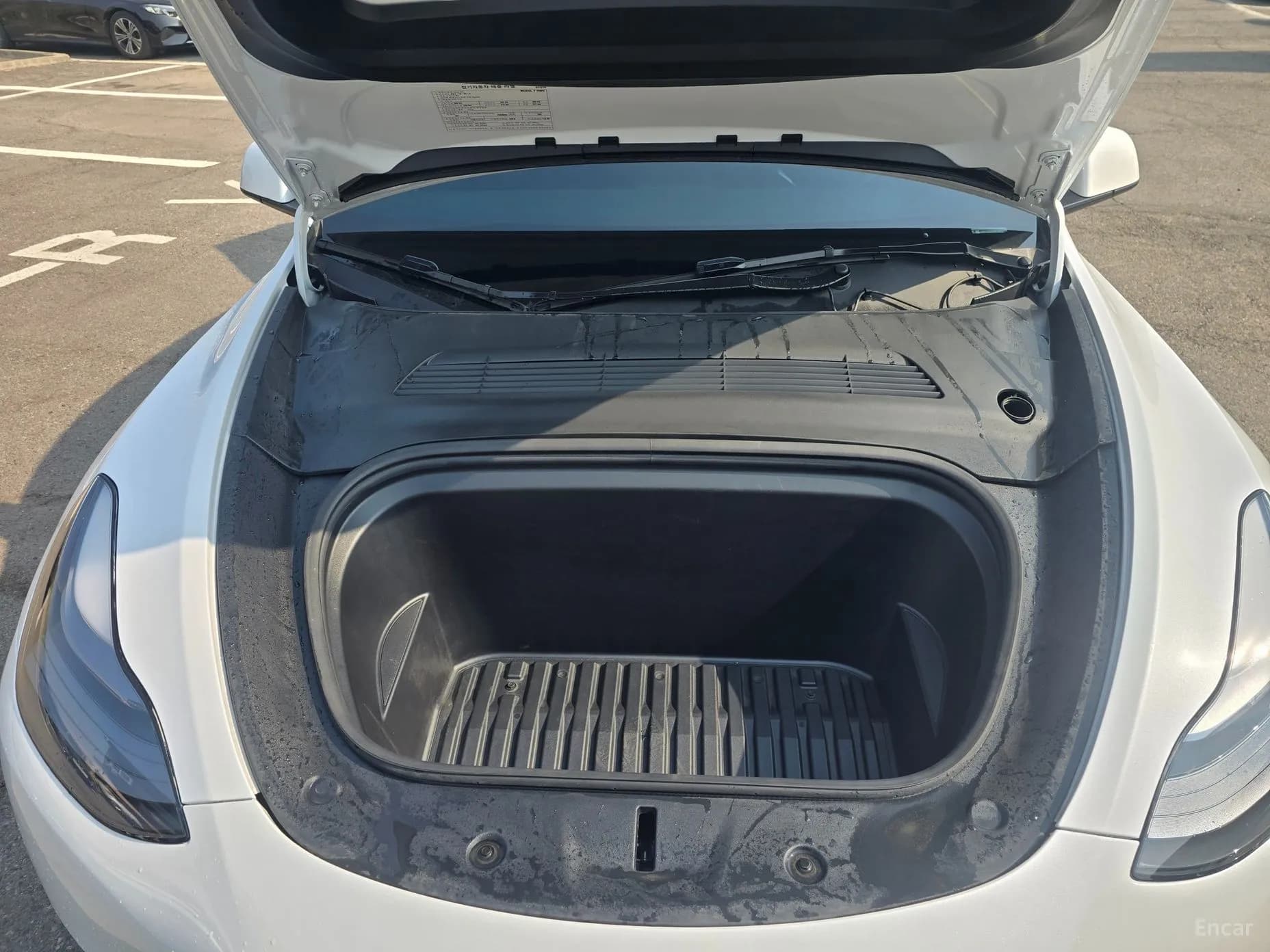 Model Y