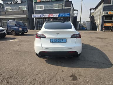 Model Y