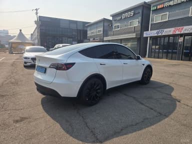 Model Y