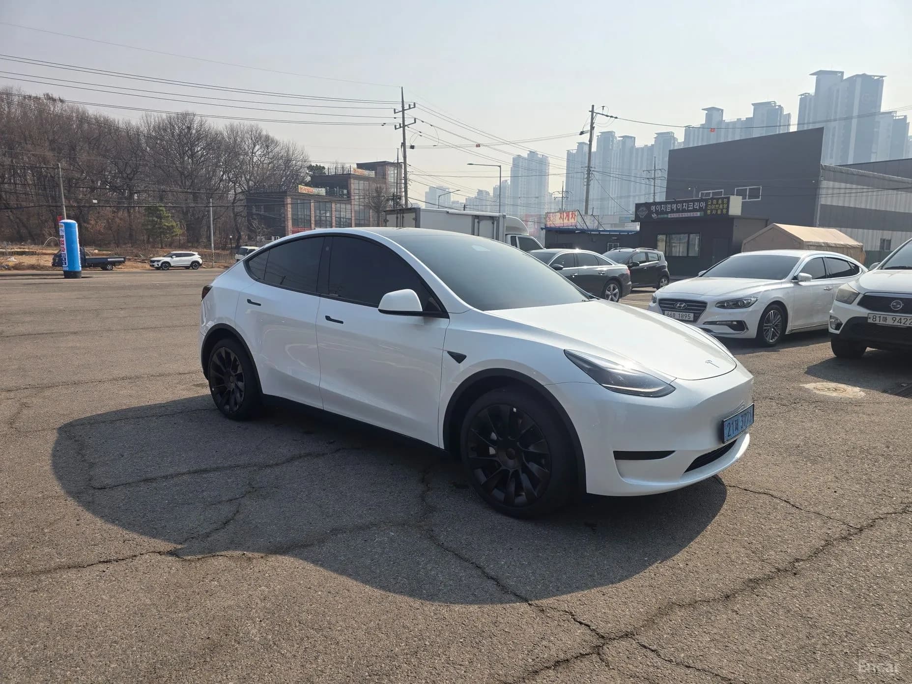 Model Y