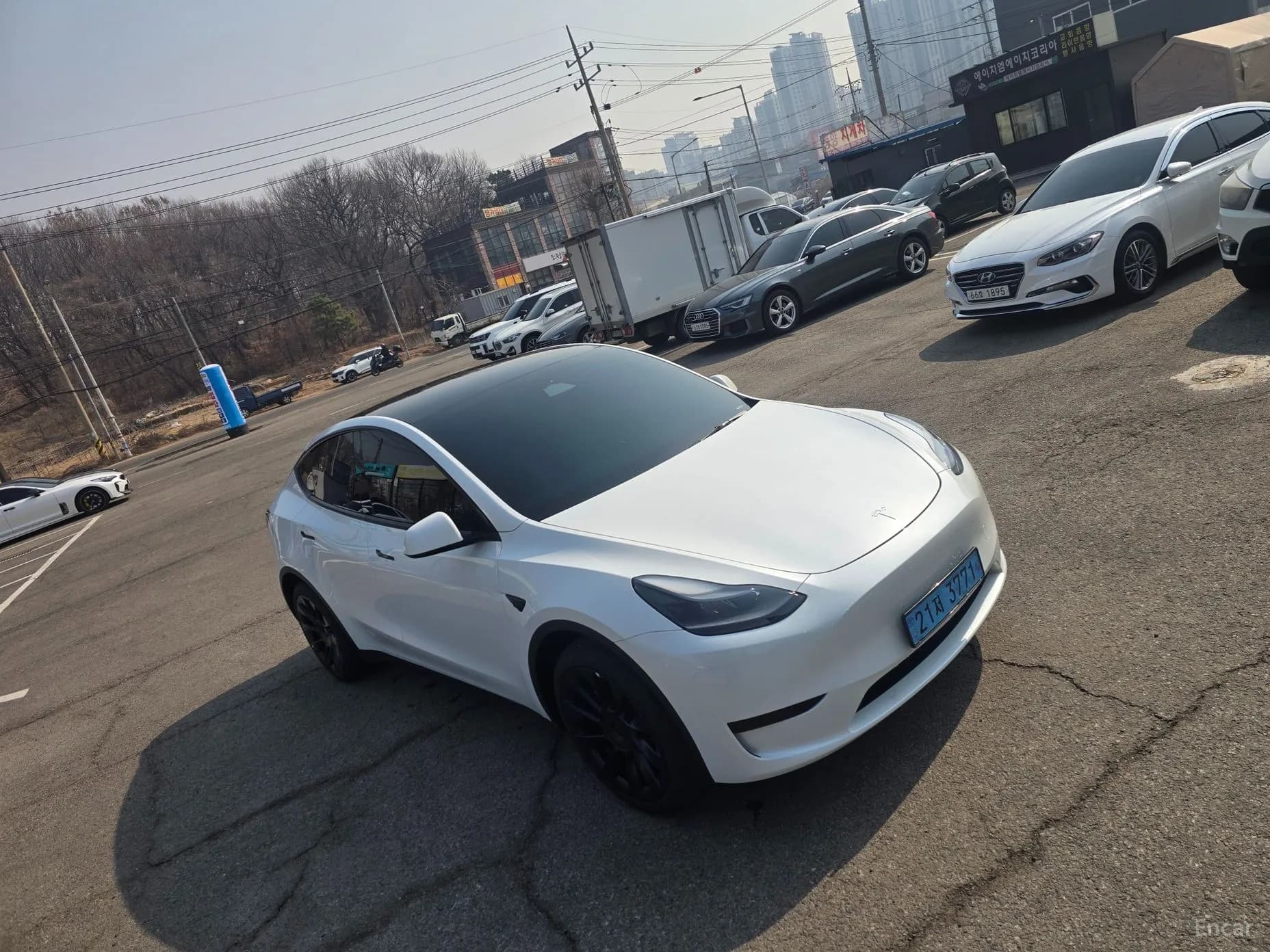 Model Y