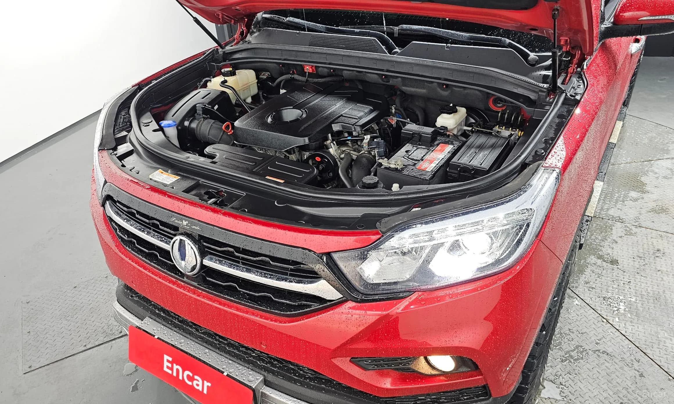 Rexton Sports