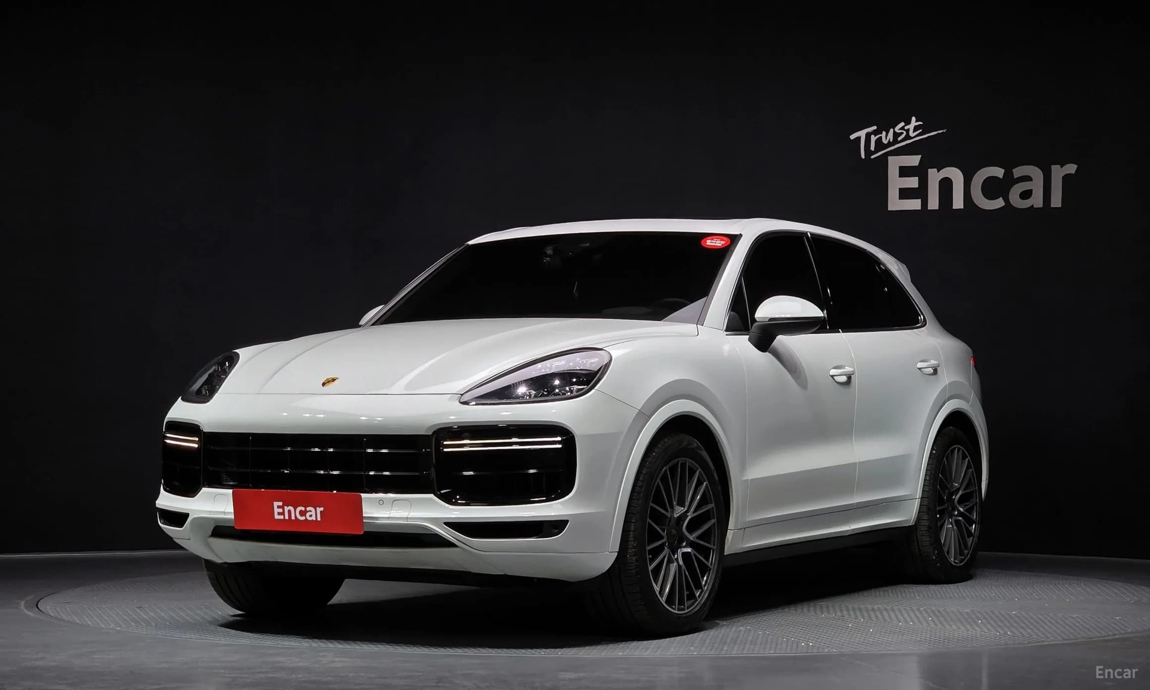 Cayenne (PO536)