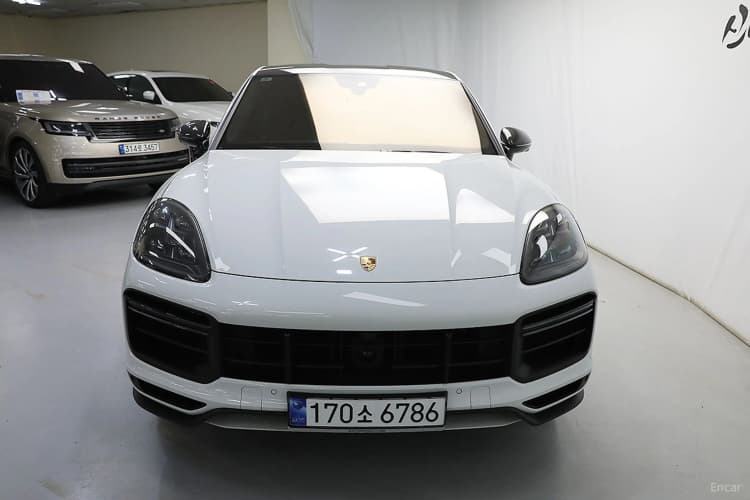 Cayenne (PO536)