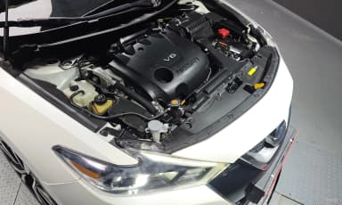 Maxima (A36)