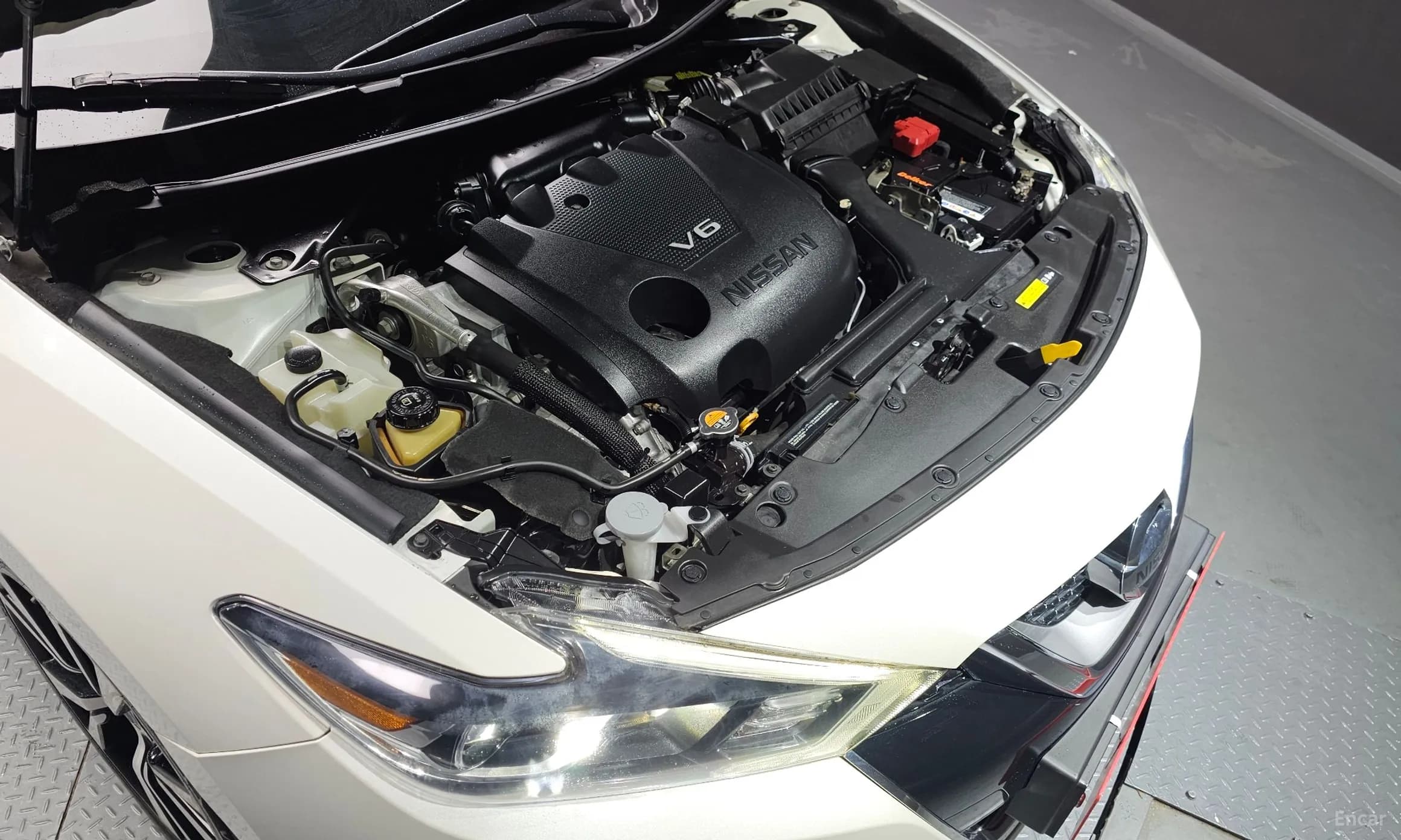Maxima (A36)