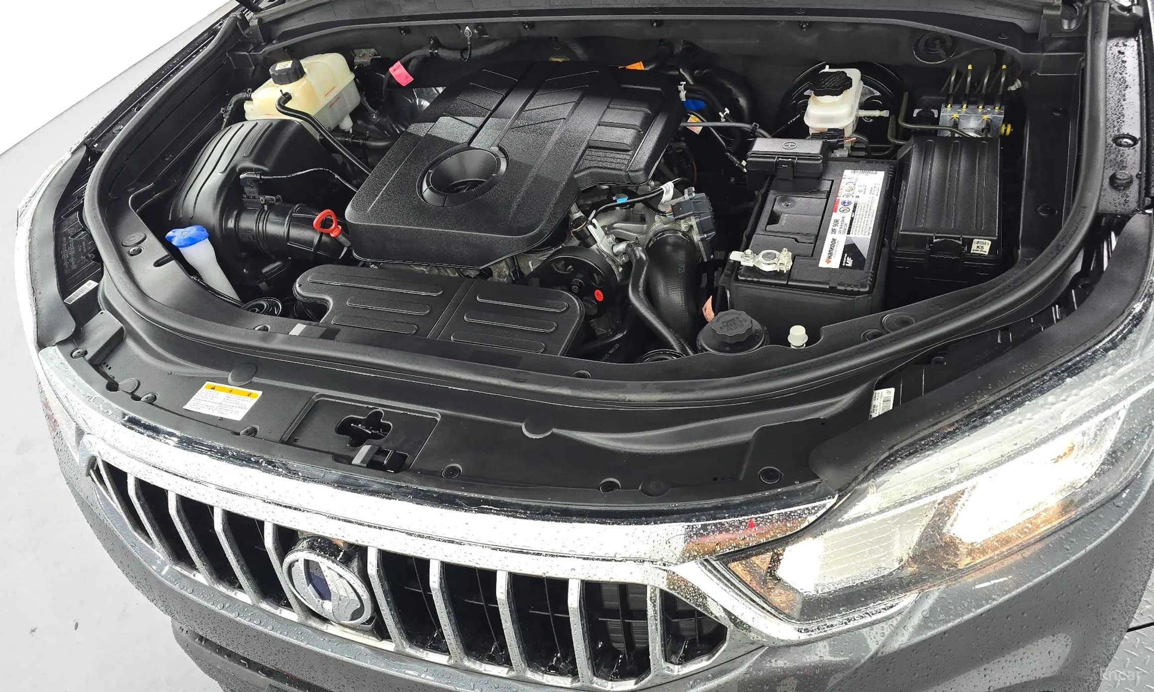 Rexton Sports Khan