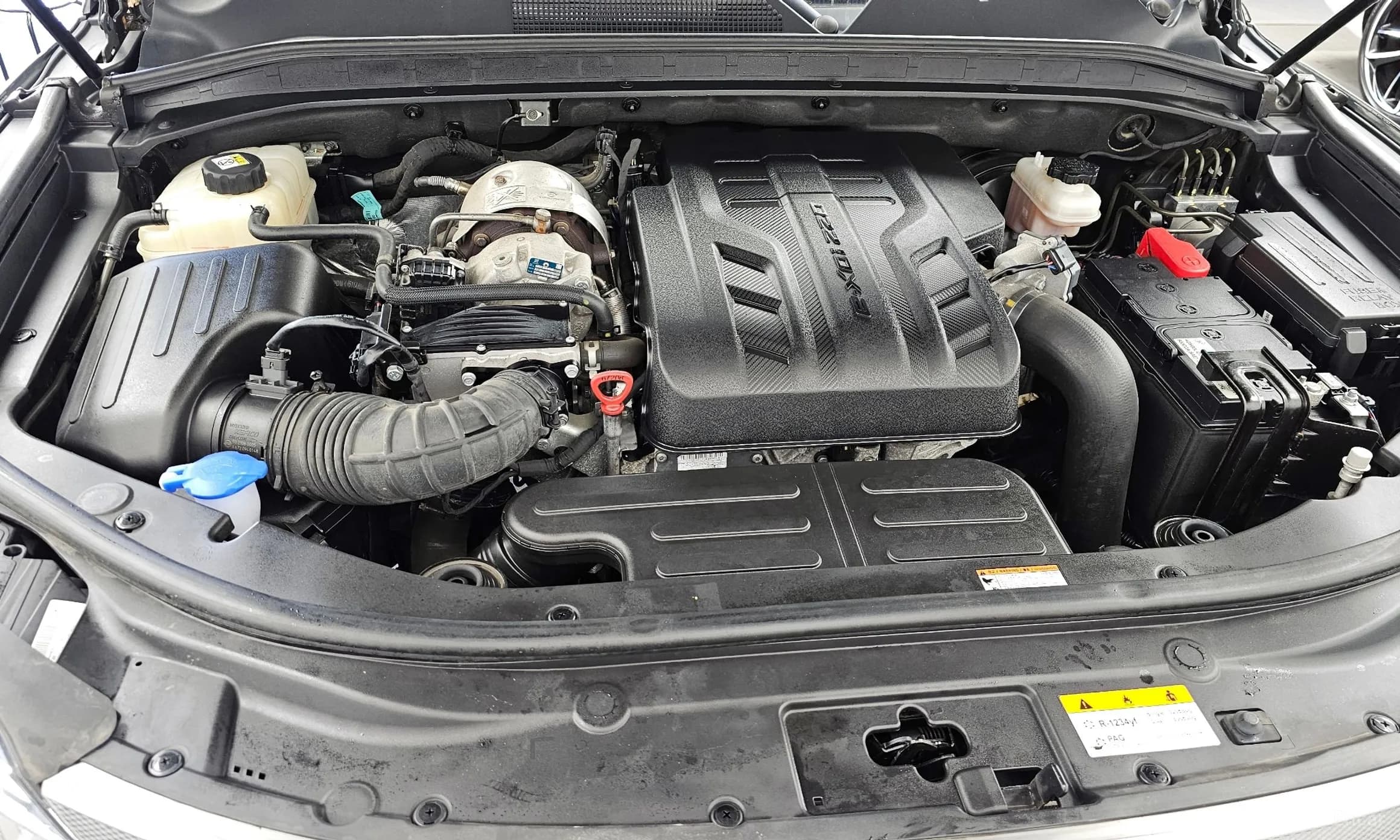 Rexton Sports Khan