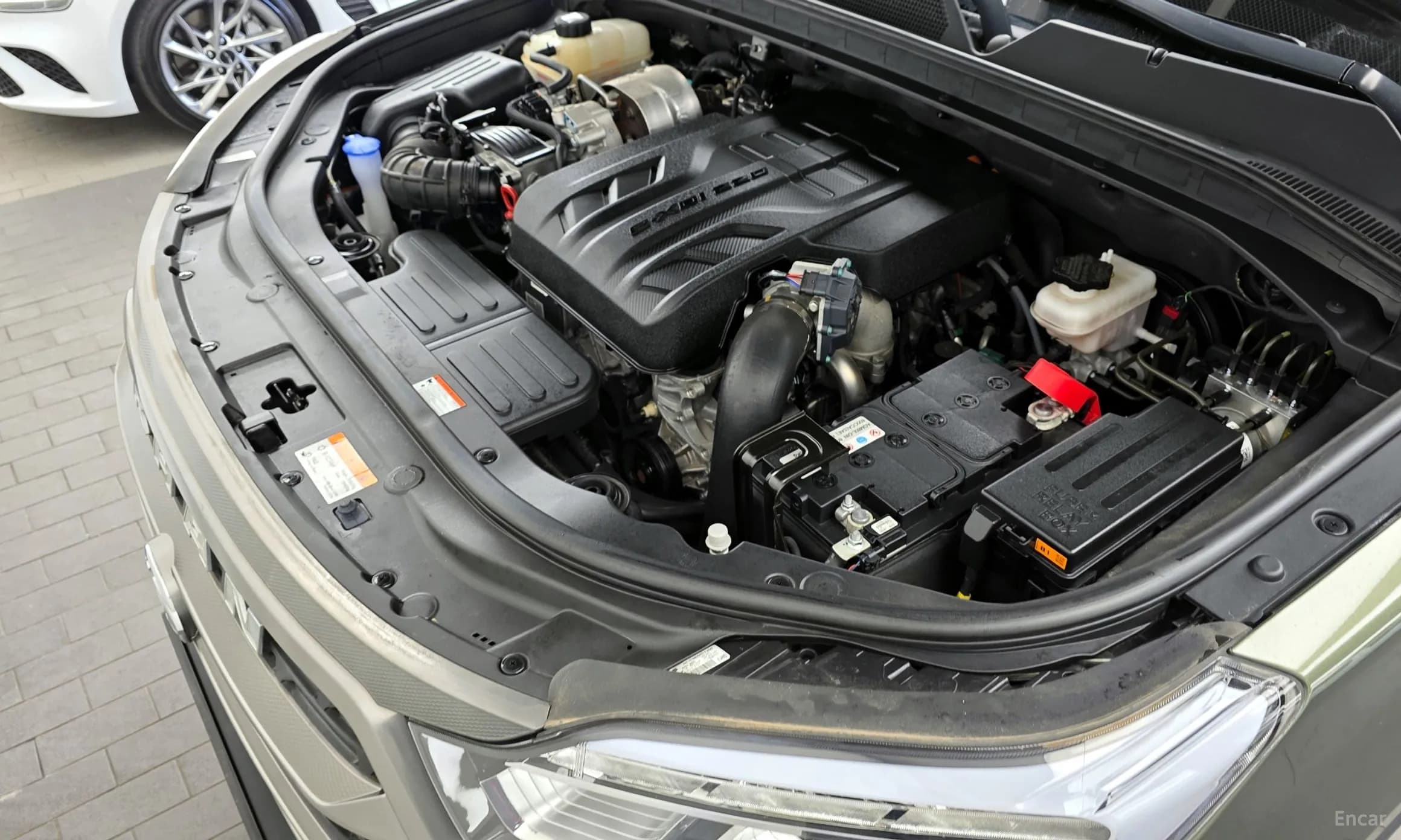 Rexton Sports Khan