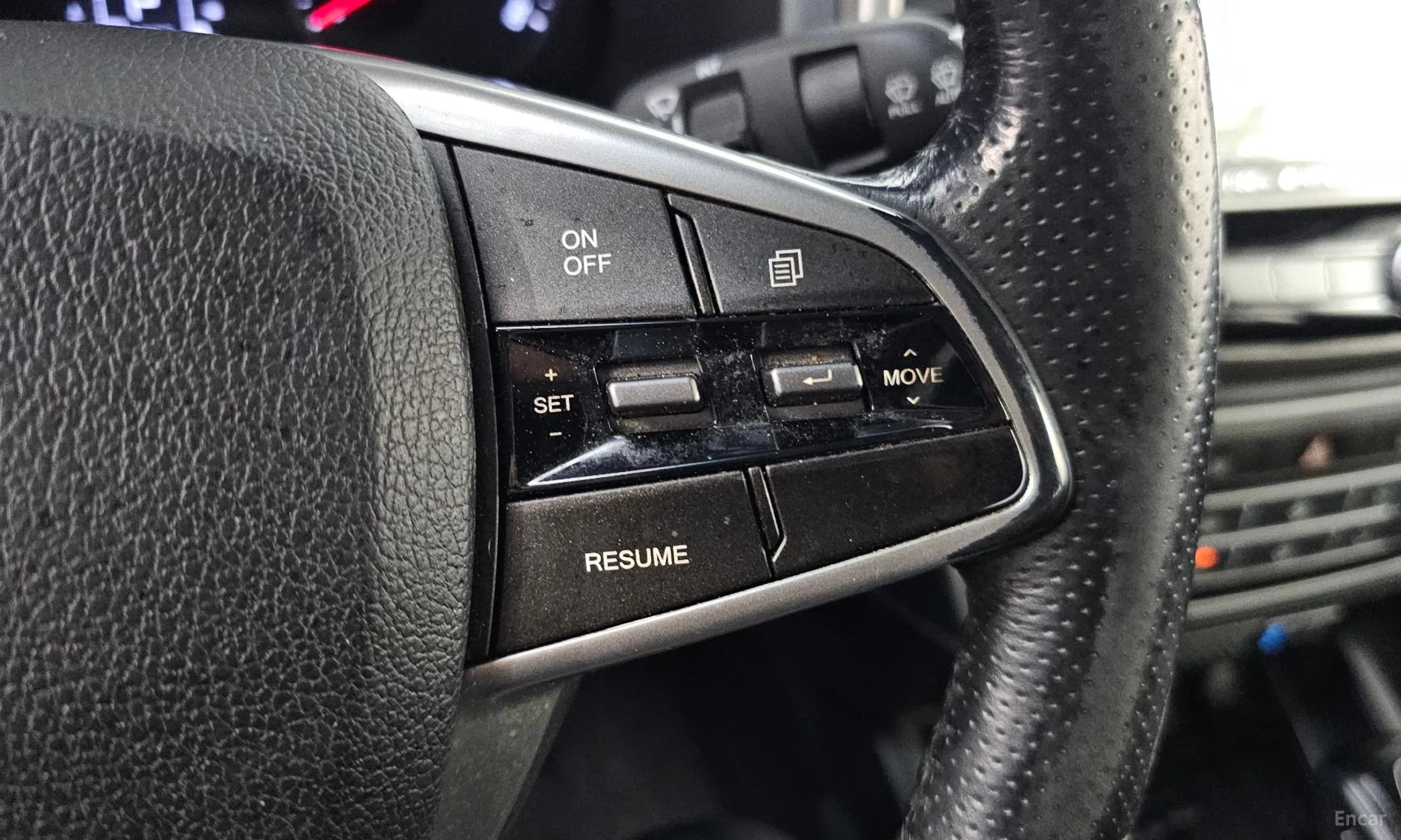 Rexton Sports