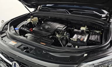 Rexton Sports