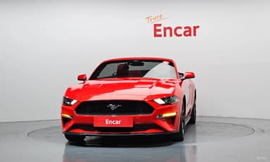 Mustang