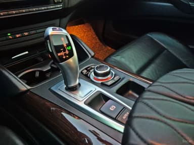 X6 (E71)