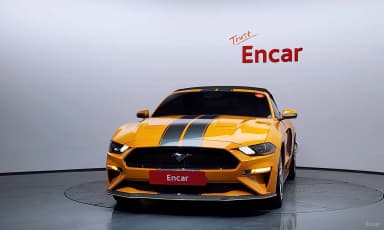 Mustang