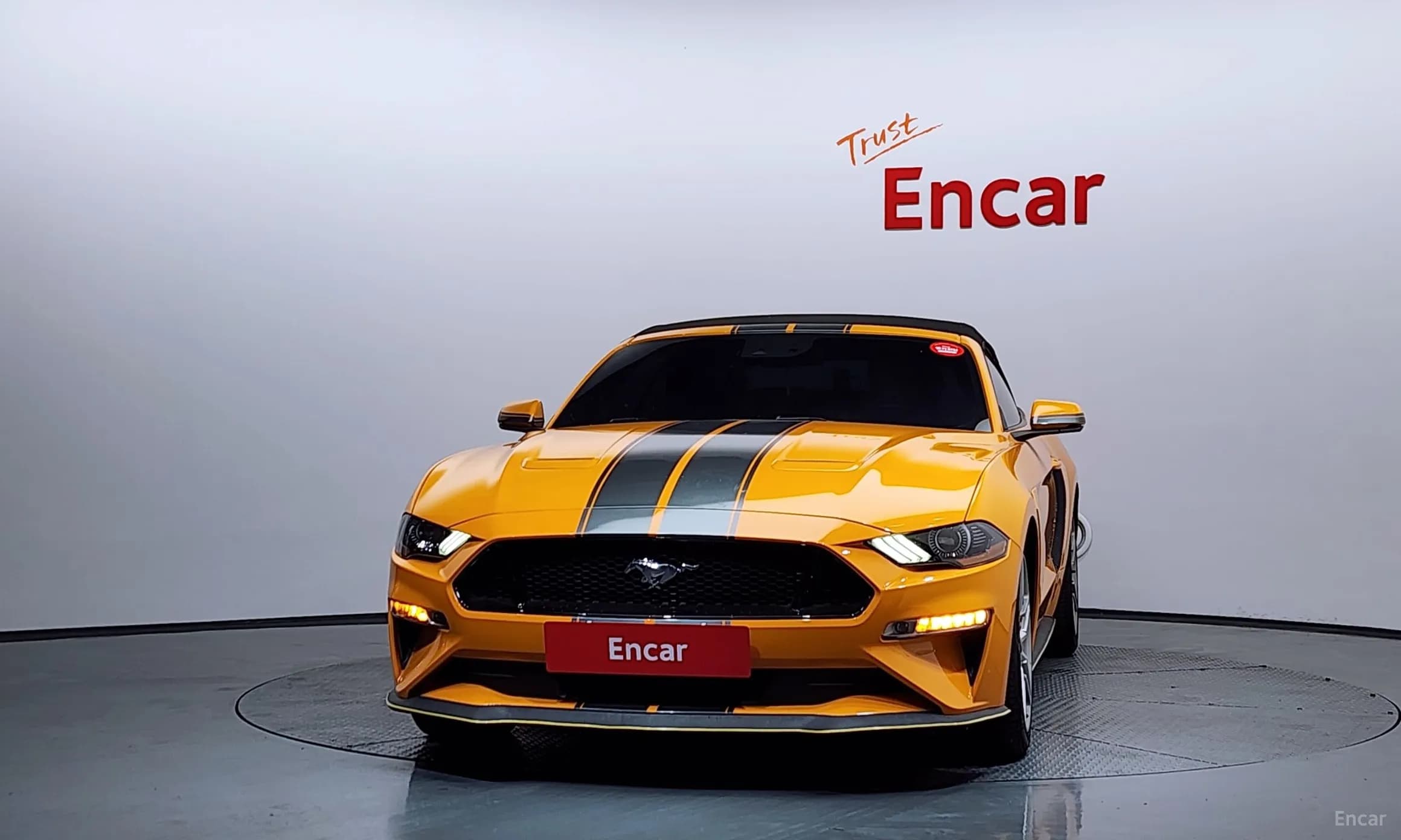 Mustang