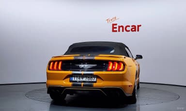 Mustang