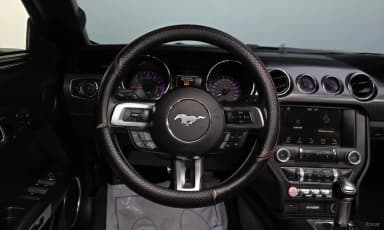 Mustang