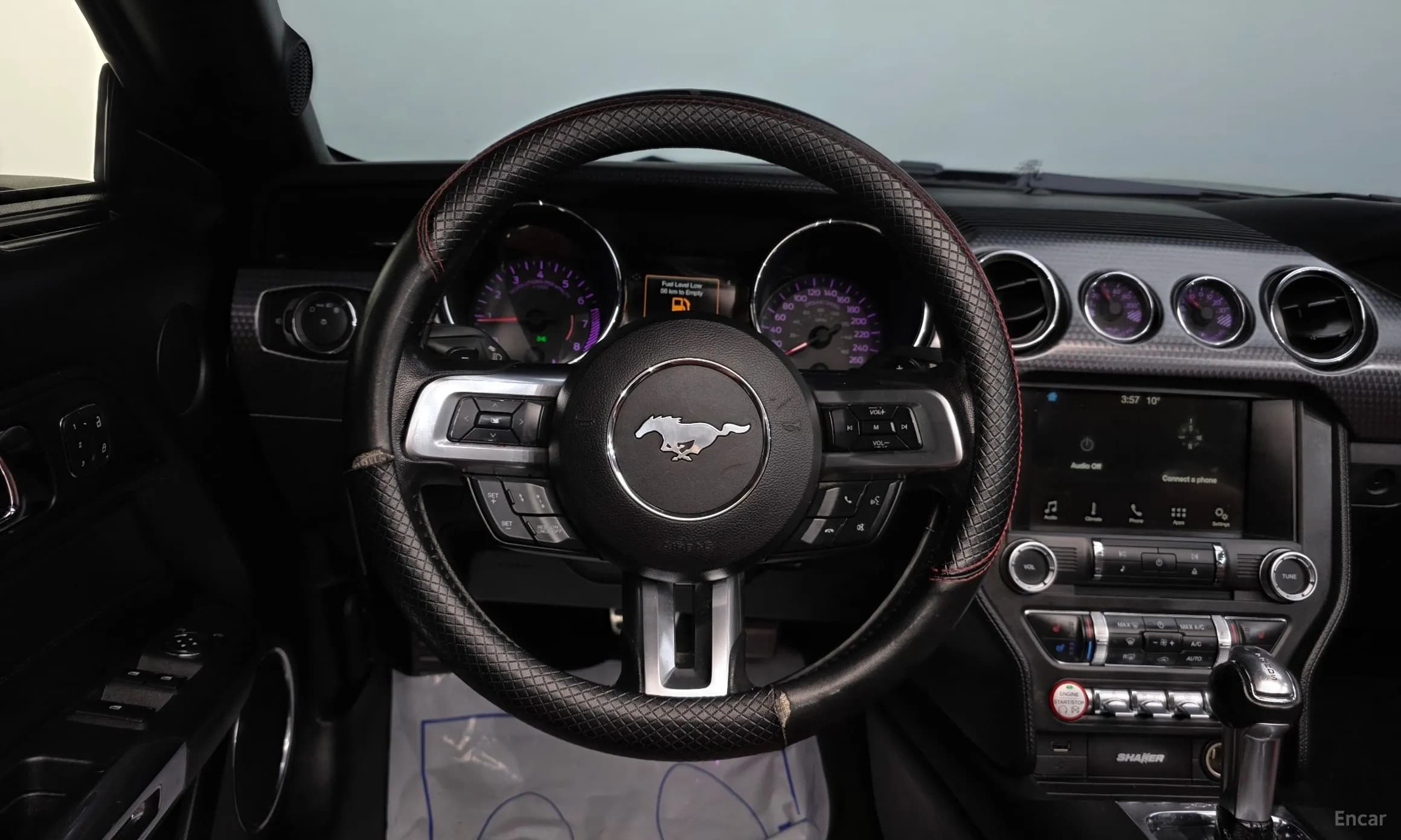 Mustang