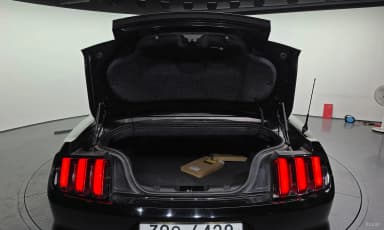 Mustang