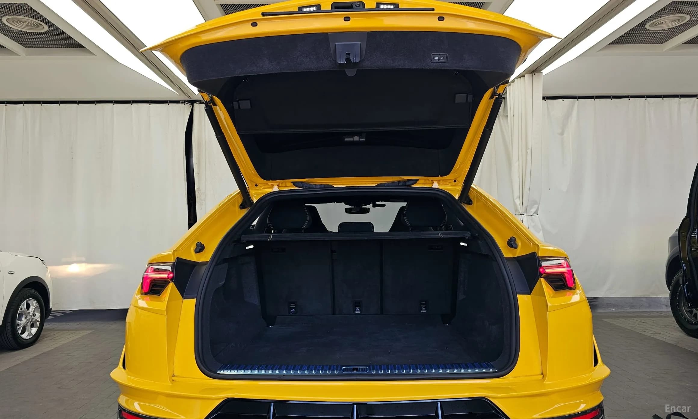 Urus