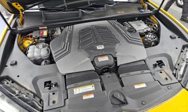 Urus