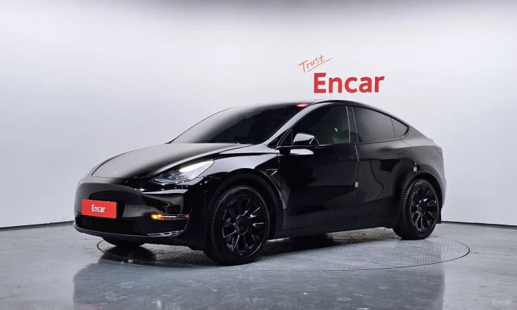 Model Y