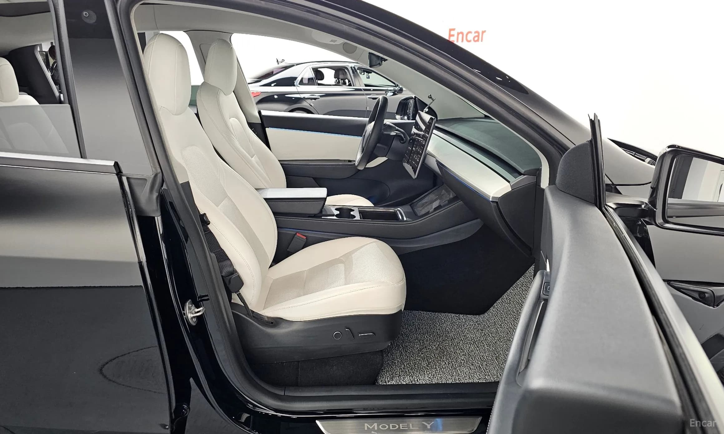 Model Y