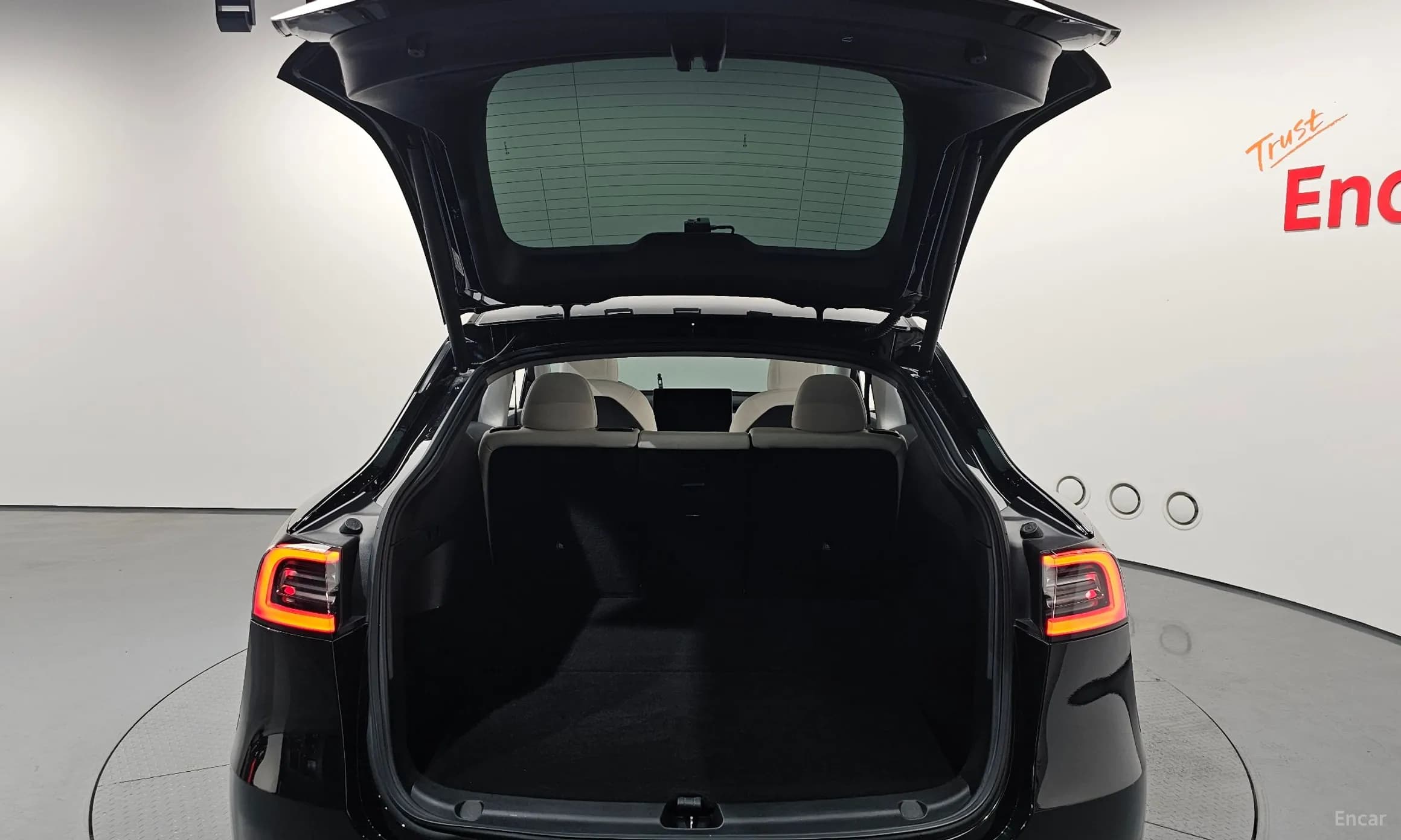 Model Y