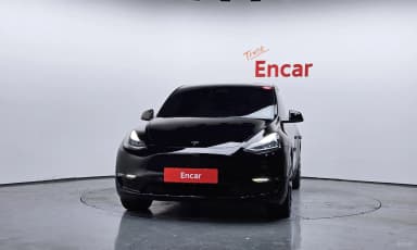 Model Y