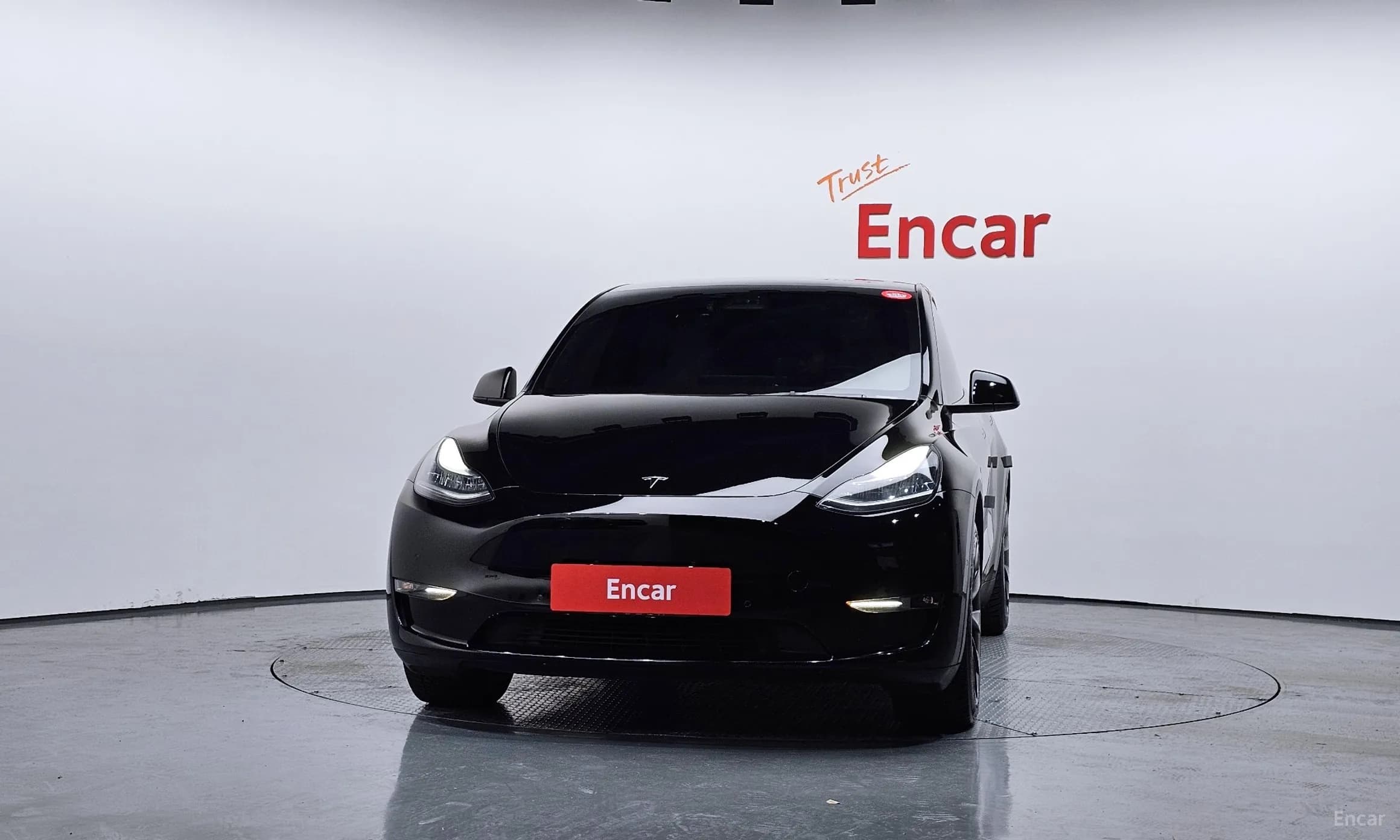 Model Y