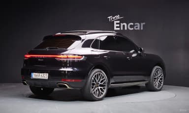 Macan