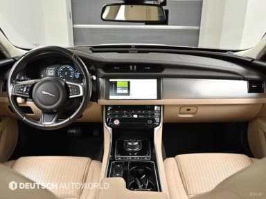XF (x260)
