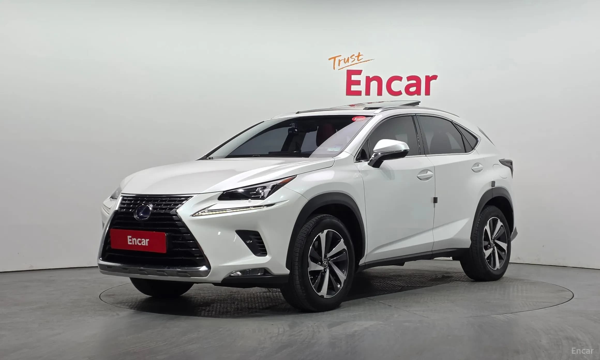NX300h