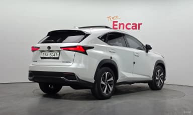 NX300h