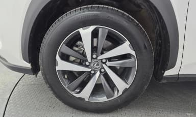 NX300h