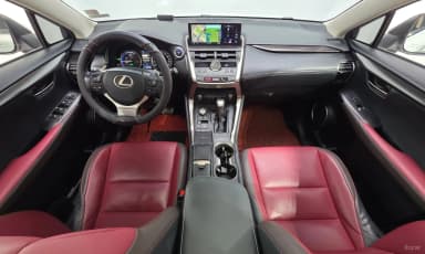 NX300h